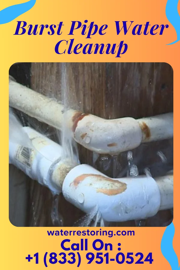 Burst Pipe Water Cleanup in Deer Lick, OK