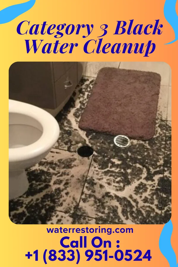 Category 3 Black Water Cleanup in Deer Lick, OK