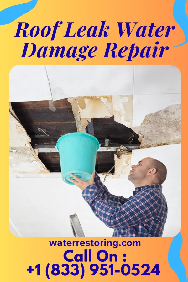 Roof Leak Water Damage Repair in Deer Lick, OK